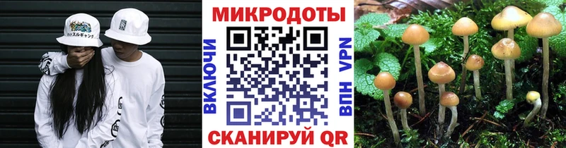 Галлюциногенные грибы Cubensis Бабушкин